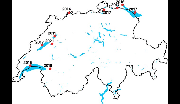Distribuzione attuale della cozza quagga nei laghi svizzeri (punti rossi). La prima scoperta risale al 2014 in un campione di DNA ambientale del Reno a Basilea. Gli anni accanto ai punti indicano l'anno della prima scoperta. (Grafico: ©Eawag, basato su REABIC / doi.org/10.3391/ai.2022.17.2.02)