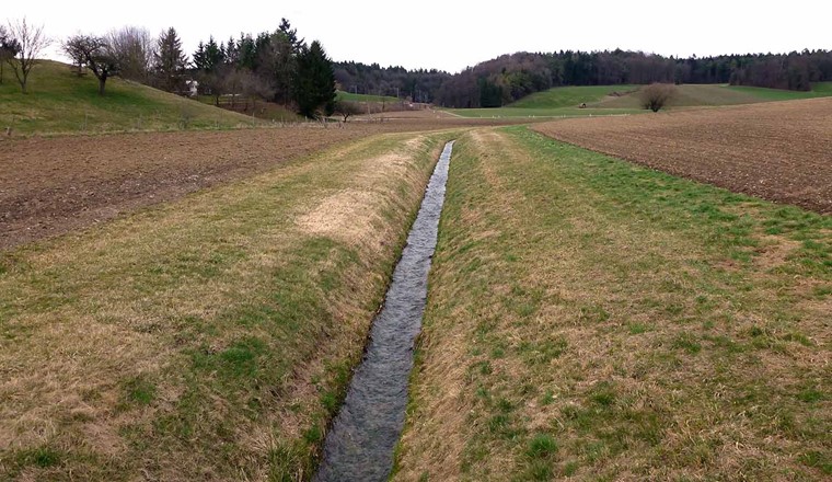 De nombreux ruisseaux suisses présentent des dégradations dues à l'influence humaine - comme ce ruisseau près d'Ossingen ZH. (Photo : Andri Bryner)