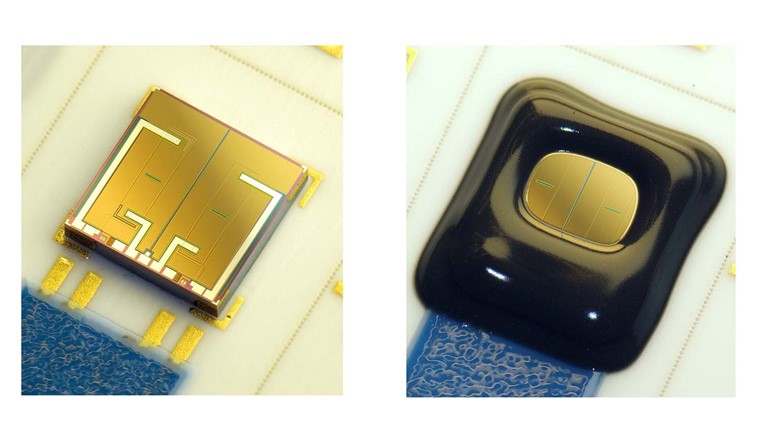 Links: Chip mit zwei individuellen ISFETs in jeweils einer n-Wanne, gebondet auf einer Keramikplatine. Rechts: Chip wie zuvor, chemisch inert verkapselt. (Bild: Fraunhofer IPMS)