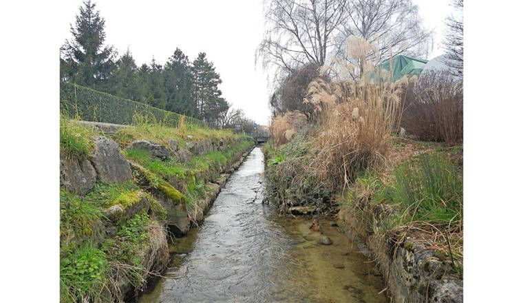 Fig. 4 Petite Thielle bei Le Landeron im Jahr 2016. (Bild: L. Vuataz)