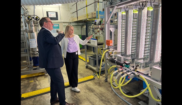 Standortleiter Hermann Becker (Evonik) im Gepräch mit Projektkoordinatorin Ursula Schließmann (Fraunhofer IGB) vor der Bioraffinerie, die aus gekoppelten biotechnologischen Verfahren mit Purpurbakterien in geschlossenen Bioreaktoren (links) und Mikroalgen in einem kompakten Photobioreaktor (rechts) besteht. (© Evonik)