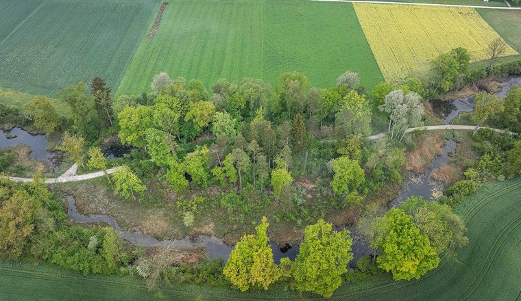 (Image : Mägli, naturbild.ch)