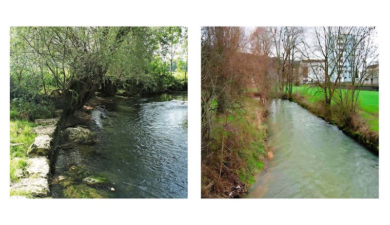 En 2010, les rives de la Sorne dans le secteur ‹Morépont amont› sont étroites et aménagées, mais en partie avec de beaux arbres. (©Hunziker Betatech AG ; Ville de Delémont)