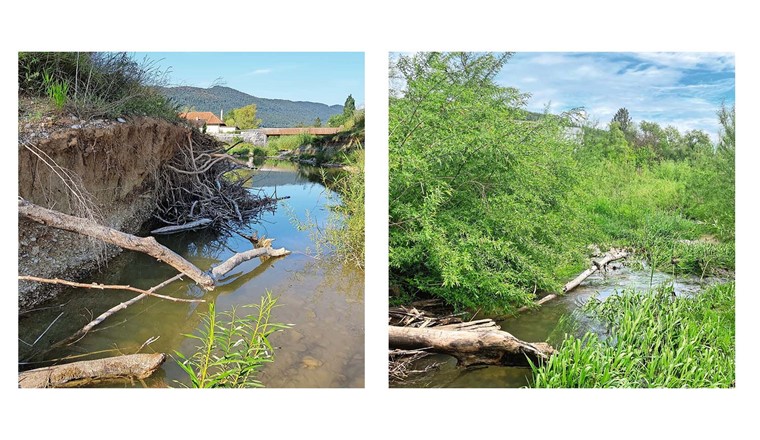 Bien que situé au cœur de la ville, des processus naturels et intrinsèquement dynamiques peuvent se dérouler dans l'espace défini (érosion, dépôt de bois mort et de sédiments, etc.). (© Hunziker Betatech AG; 2MO GmbH)