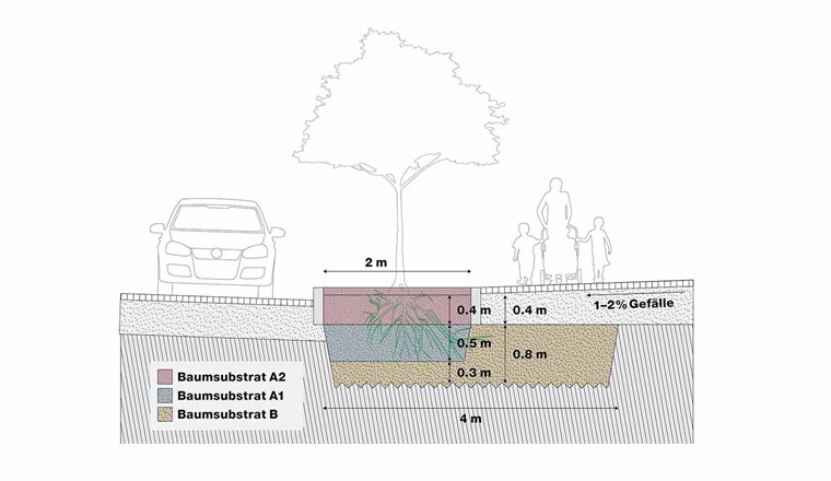 Fig. 1 Gestaltung einer Baumgrube in der Stadt Zürich [3]. Baumsubstrat A2: feine Anteile, nährstoffreich, belebt, 2,5 m³; Baumsubstrat A1: mineralisch, hohes Porenvolumen, 3 m³; Baumsubstrat B: Drainschicht Schotter, 29 m³.