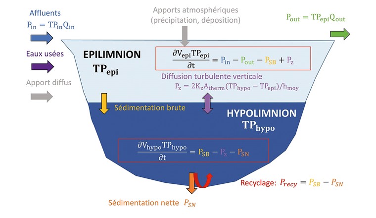 Fig. 6 Schéma du modèle 2 boîtes épilimnion-hypolimnion indiquant les flux de phosphore et l’équation différentielle à résoudre pour chacune des couches. Les flèches grises correspondent aux flux de phosphore négligés par le modèle. Le flux de diffusion turbulente verticale entre les deux couches dépend du coefficient de diffusion turbulente Kz et de la profondeur moyenne du lac h moy