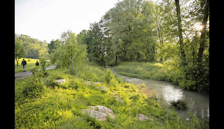 Im oberen Abschnitt des Parco del Laveggio (3 auf der Karte) findet sich entlang des Flusses eine eindrückliche Naturlandschaft. Ein grünblauer Korridor durch dicht besiedeltes Gebiet. (© Stefanie Würsch)