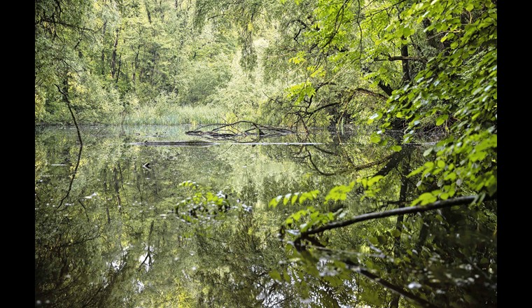 2 auf der Karte: In den Flussauen, dem Übergangsbereich zwischen Flussbett und Landschaft, ist die Artenvielfalt besonders gross. Dank der Errichtung des Parks sind diese wertvollen Gebiete nun dauerhaft geschützt. (© Stefanie Würsch)