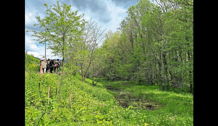 4 auf der Karte: Zwischen den SBB-Gleisen und den Auen des Laveggio führt ein schmaler Pfad, der Einblick gibt in die geretteten Überreste eines Naturparadieses. 
(© Plan biodivers)