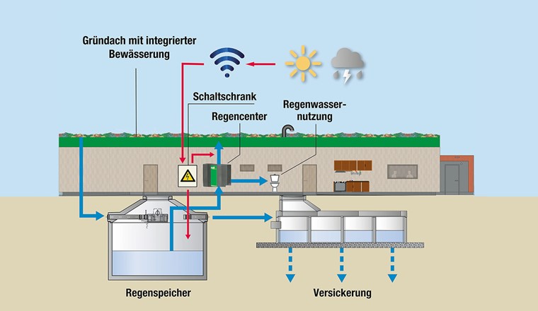 Fig. 2 Sportanlage Im Haberfeld, Donaueschingen. Neubau des Vereinsheims SSC. Links: Retentions-Gründach Sponge City Roof, zum Zeitpunkt der Fertigstellung im November 2023. (Bild: Mall AG)