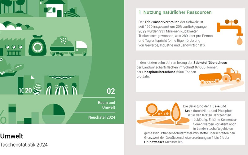 Taschenstatistik als 10 000. Publikation des BFS