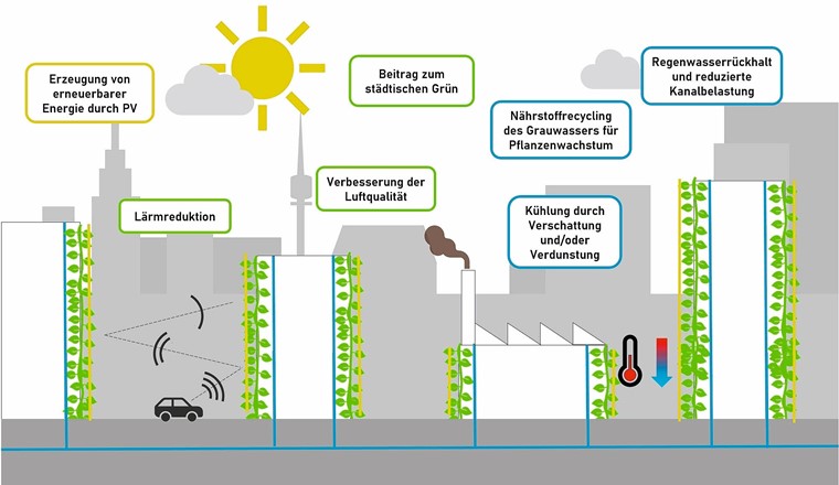 Projektskizze VertiKKA: Die Pflanzen tragen zur Abkühlung des Mikroklimas und somit zur Verringerung des sommerlichen Hitzeinseleffekts in verdichteten Siedlungsräumen sowie zur Verbesserung der Luftqualität bei.