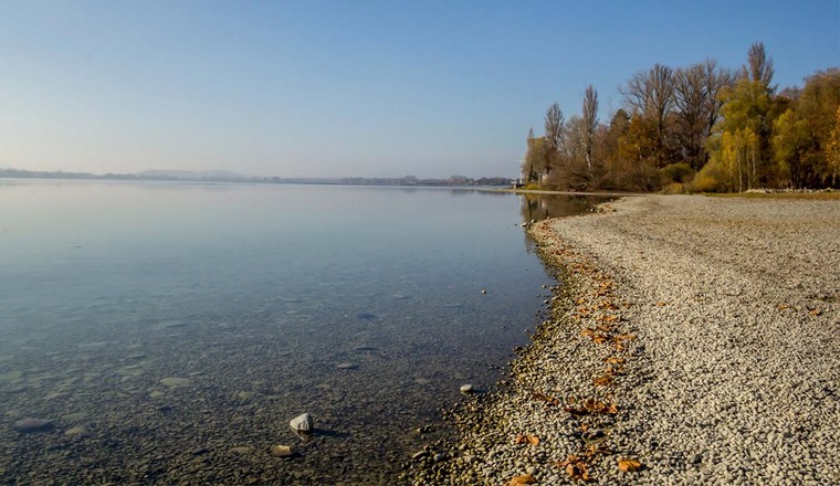 Ufer des Bodensees. (Bild: Adobe Stock)