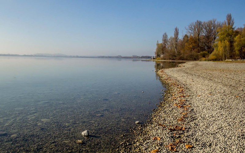 Resilienza e pesticidi: le sfide per le acque europee