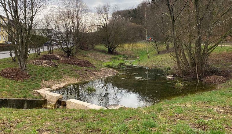 Retentionsbecken: In diesem Rückehaltebecken wurde mit der Einstauung erwirkt, dass das Wasser etwas länger liegen bleibt. (Bild: Stadt Biel)