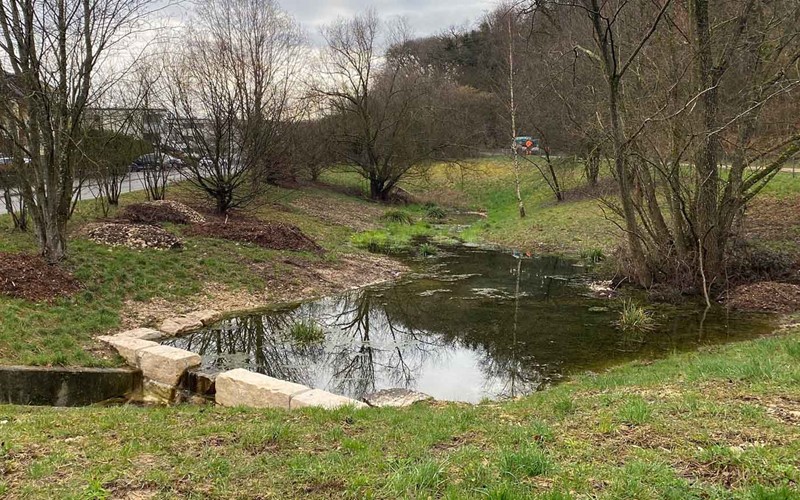 Mehr Platz für seltene Amphibien in Biel