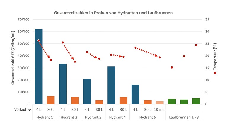 Fig. 3 Il apparaît clairement que le nombre total de cellules mesuré dans les hydrantes dépend du débit. Les faibles concentrations de cellules provenant des fontaines au fil de l'eau comme référence montrent que l'eau dans les hydrantes et leurs conduites d'alimentation est contaminée par des germes. Cela est très probablement dû à la stagnation et au réchauffement en été. Les résultats proviennent de mesures effectuées dans le cadre du projet "Pertinence des légionelles dans le réseau de distribution", ils ont été relevés par cytométrie en flux à l'aide de la SSIGE MW102 (BactoSense Multi, bNovate Technologies).