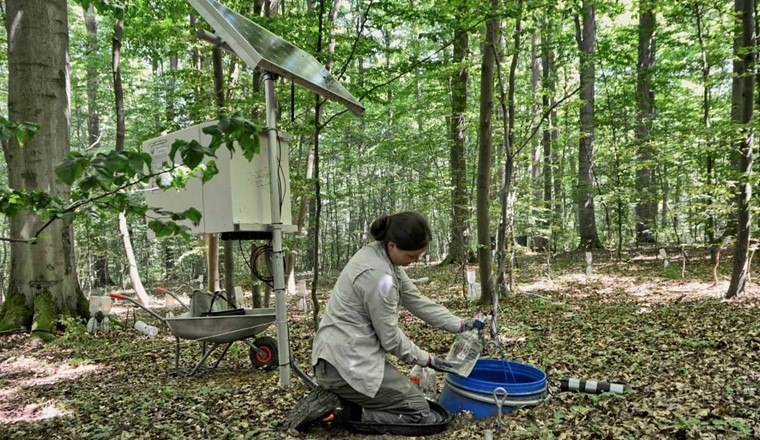 Der Forschungsteam untersuchte Grundwasser & Bodensickerwasser an drei unterschiedlichen Standorten in Deutschland, darunter auch im Hainich Critical Zone Exploratory im Hainich Nationalpark. (Bild: R. Lehmann / Friedrich-Schiller-Universität Jena)