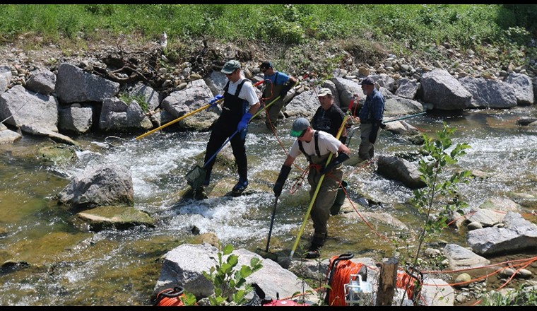 Erhebung der Fischfauna nach dem Modul Fische (Foto: © Pascal Vonlanthen).