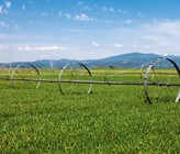 Anpassung der Landwirtschaft an die Trockenheit: herausfordernd, aber machbar. Synthese aus einem Pilotprojekt fürs Mittelland. (©G. Johnston/123RF.com)