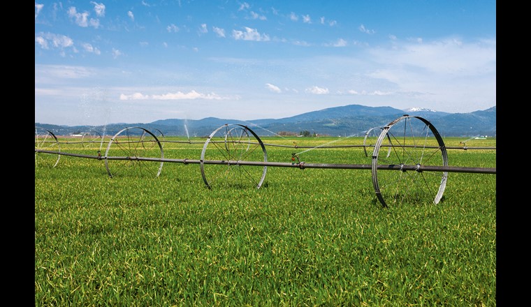 Anpassung der Landwirtschaft an die Trockenheit: herausfordernd, aber machbar. Synthese aus einem Pilotprojekt fürs Mittelland. (©G. Johnston/123RF.com)