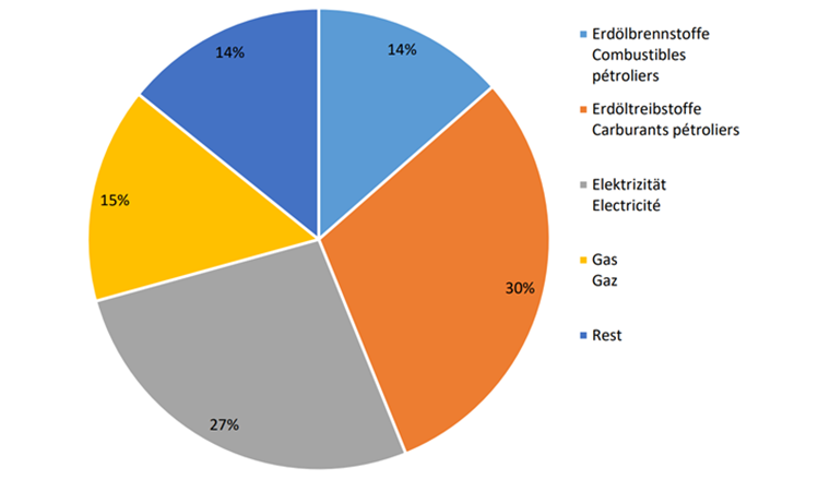 Panoramica del consumo di energia in Svizzera nel 2020 (totale: 747 400 TJ) Fonte: Ufficio federale dell'energia (UFE)